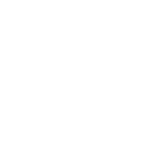 Logo light